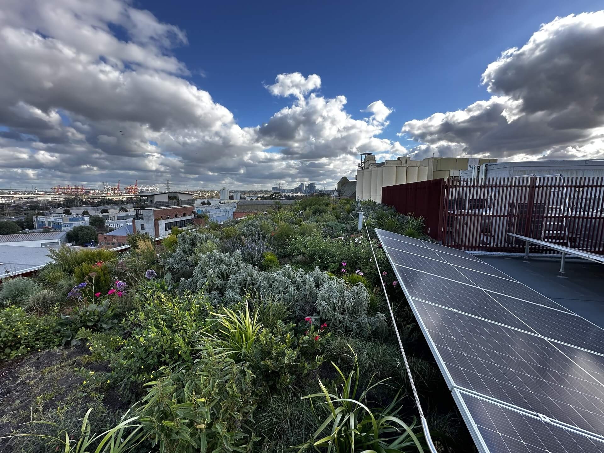 A rooftop garden with dense green plants and solar panels overlooking an industrial cityscape under a dramatic cloudy sky.