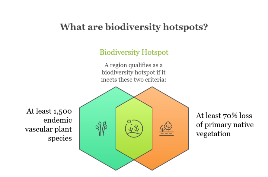 An infographic that illustrates what biodiversity hotpots are