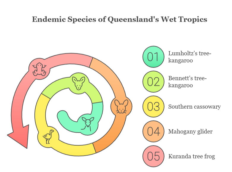 An infographic that illustrates endemic species of Queensland's wet tropics