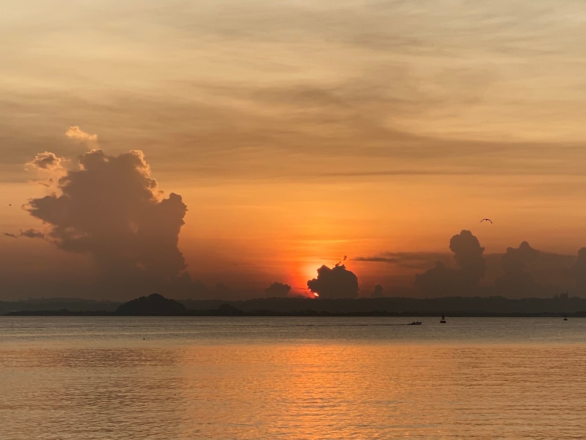 Sunset over calm coastal water, highlighting Australia’s coastal environment and rising climate risks.