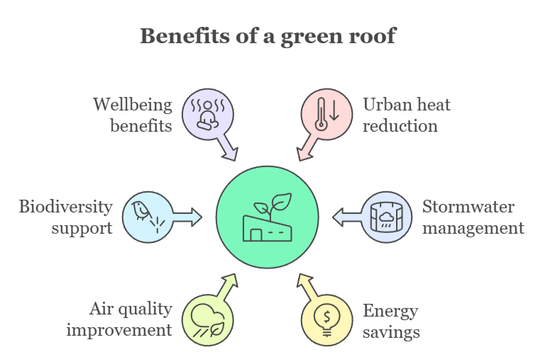 An infographic that illustrates the benefits of green roofs