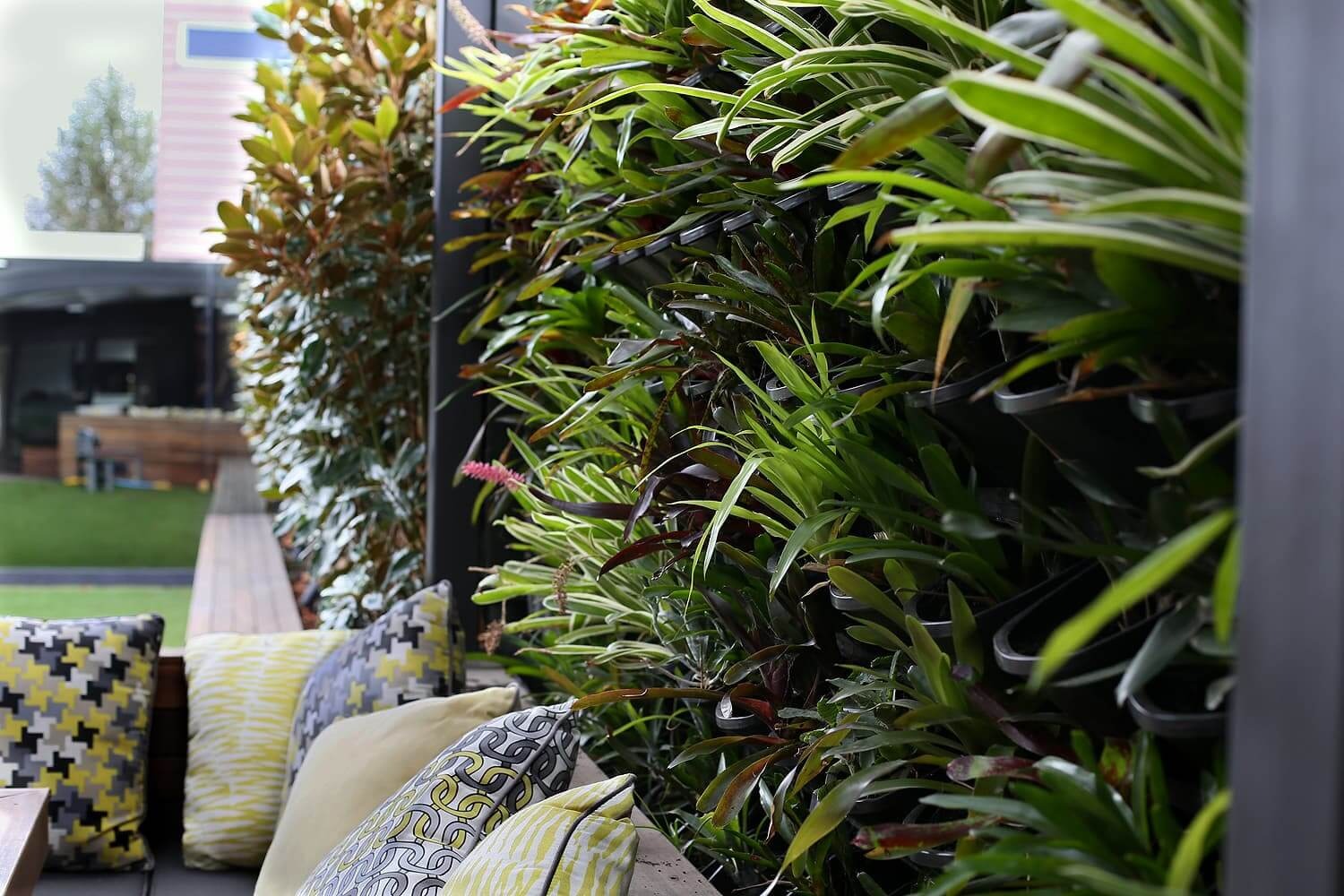 Close-up of a vertical garden wall panel system planted beside an outdoor lounge with decorative cushions and a view of a landscaped backyard