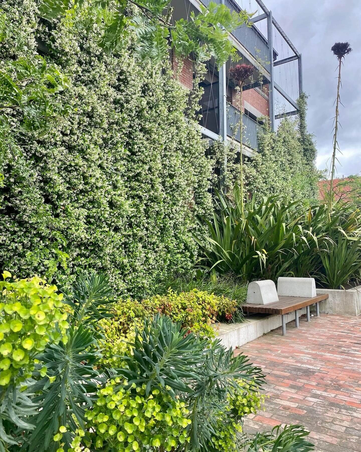 Large-scale vertical garden on the façade of a multi-storey brick building, densely covered with climbing plants, surrounded by ornamental grasses and a timber-and-concrete bench seating area on a brick pathway