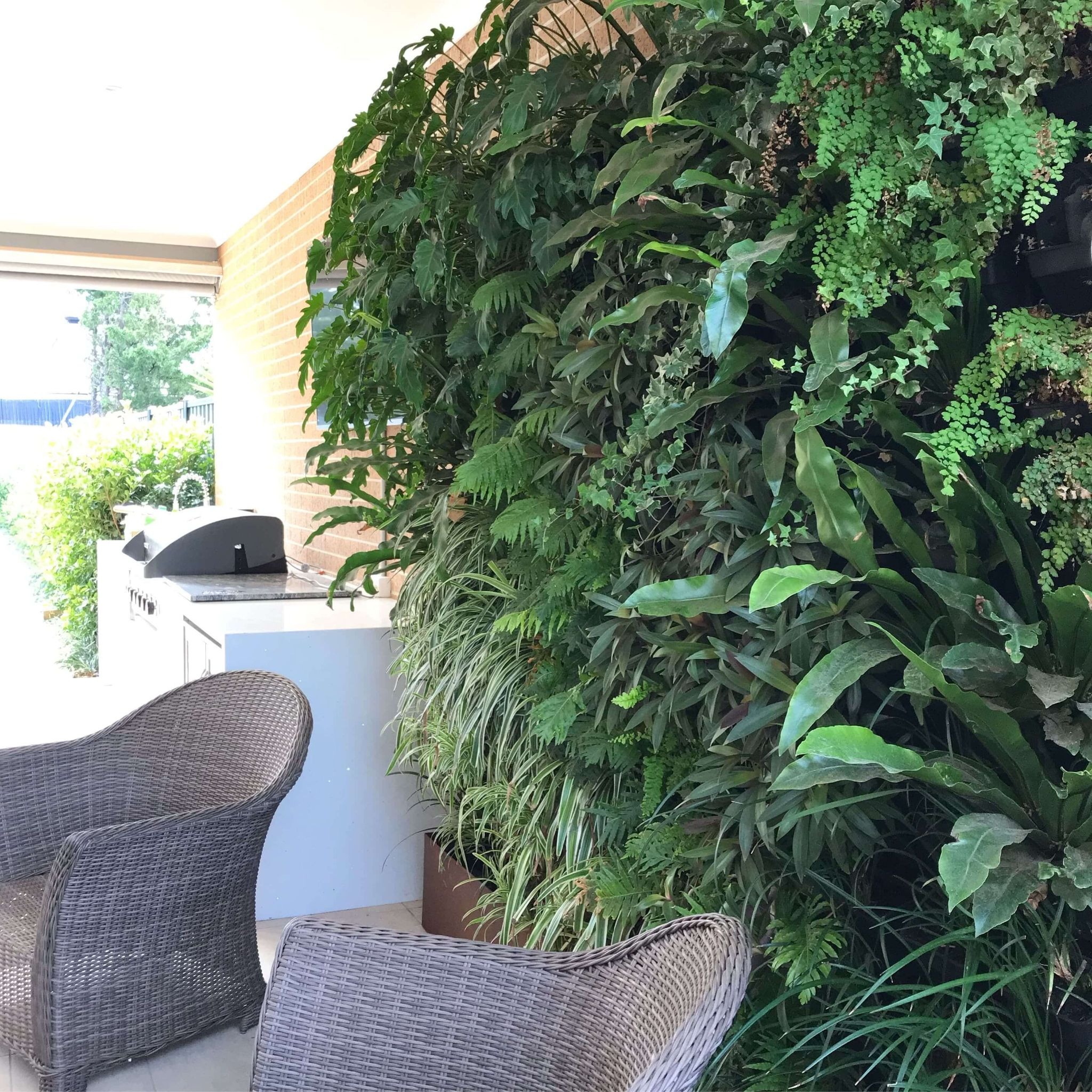 Lush vertical garden wall featuring mixed tropical foliage including ferns, spider plants, and broad-leaf varieties, installed on a brick wall of a covered outdoor patio with wicker furniture and a built-in BBQ