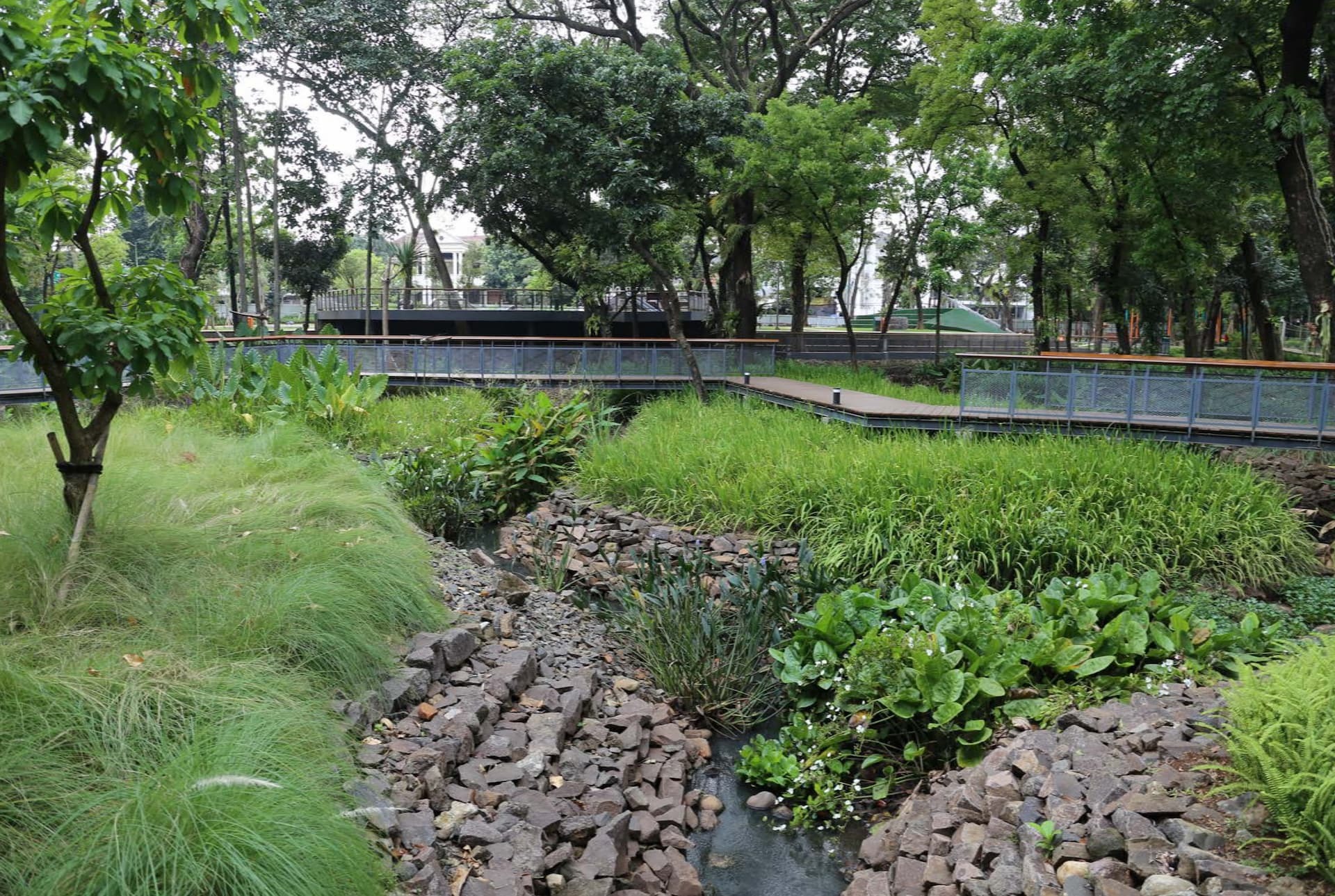 A rocky bioswale channel with native grasses and ground cover plants, a water sensitive urban design feature in an urban park.