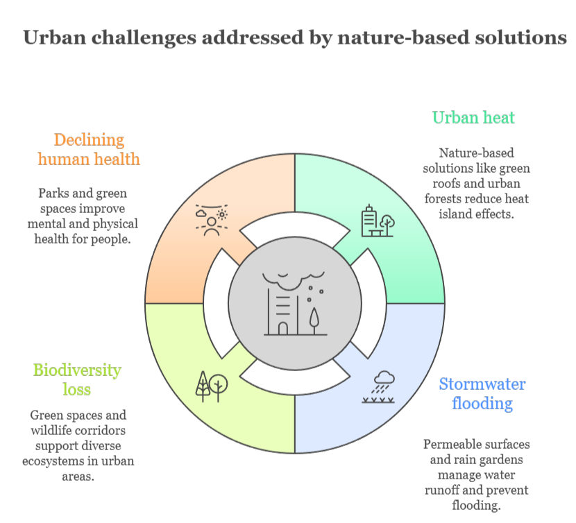 An infographic that illustrates urban challenges addressed by nature-based solutions