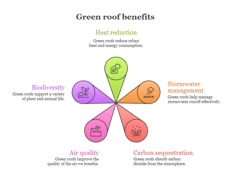 An infographic that illustrates the benefits of green roofs