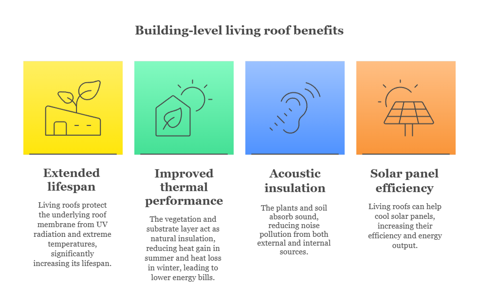 An infographic that illustrates the building-level benefits of living roofs