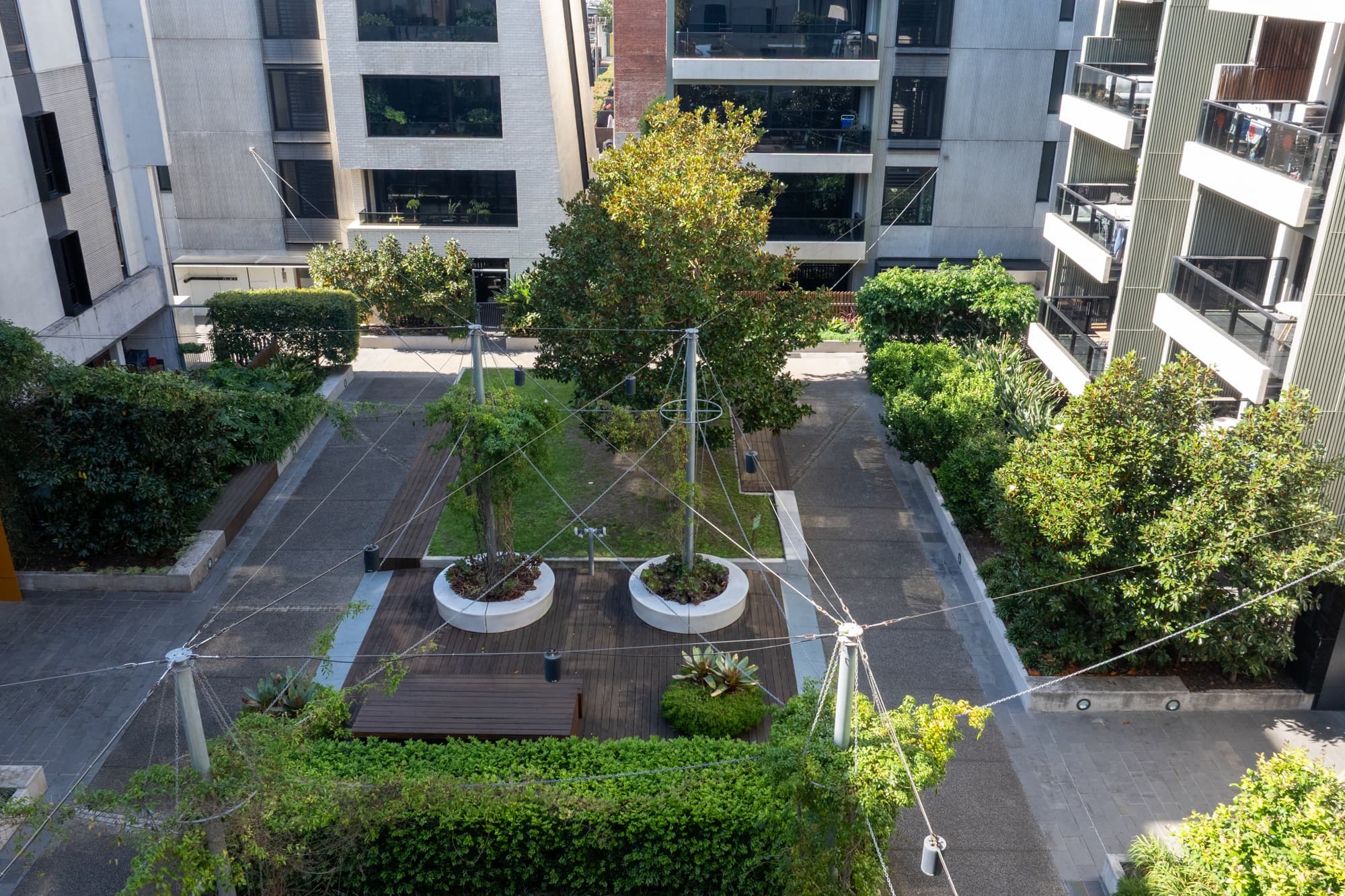 Elevated podium courtyard between residential buildings, featuring a mature tree in a circular planter, timber decking, lawn, and hedging — a design that captures the social and ecological benefits of a living roof.