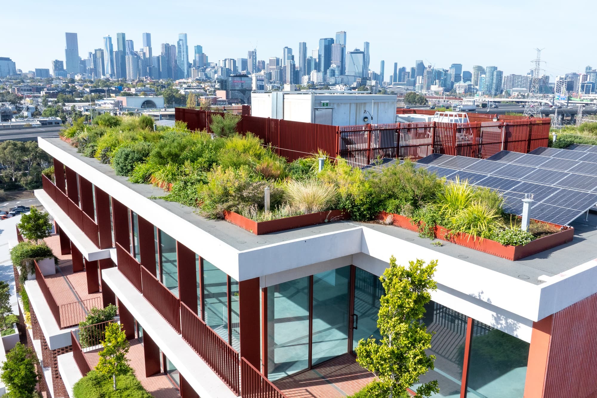  A lush living roof planted with native grasses and shrubs alongside rooftop solar panels, with the Melbourne CBD skyline in the background, highlighting the environmental benefits of a living roof.
