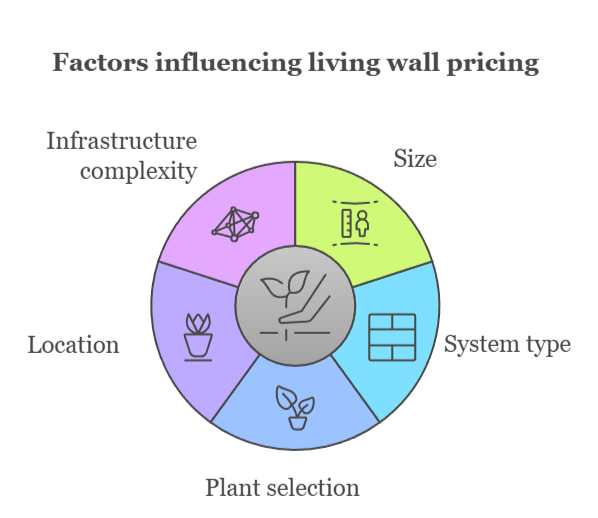 An infographic that illustrates factors that influence living wall pricing