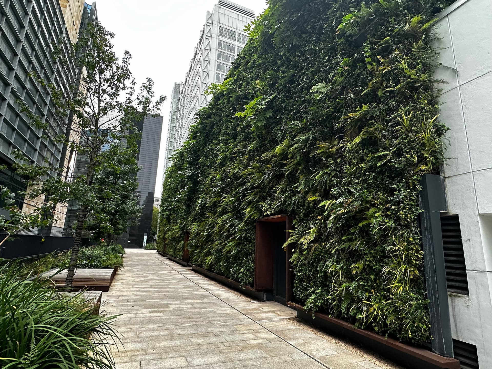 Green stormwater infrastructure showcasing a large-scale living wall densely planted with ferns, tropical foliage and climbing plants covering a multi-storey building facade along a paved city laneway