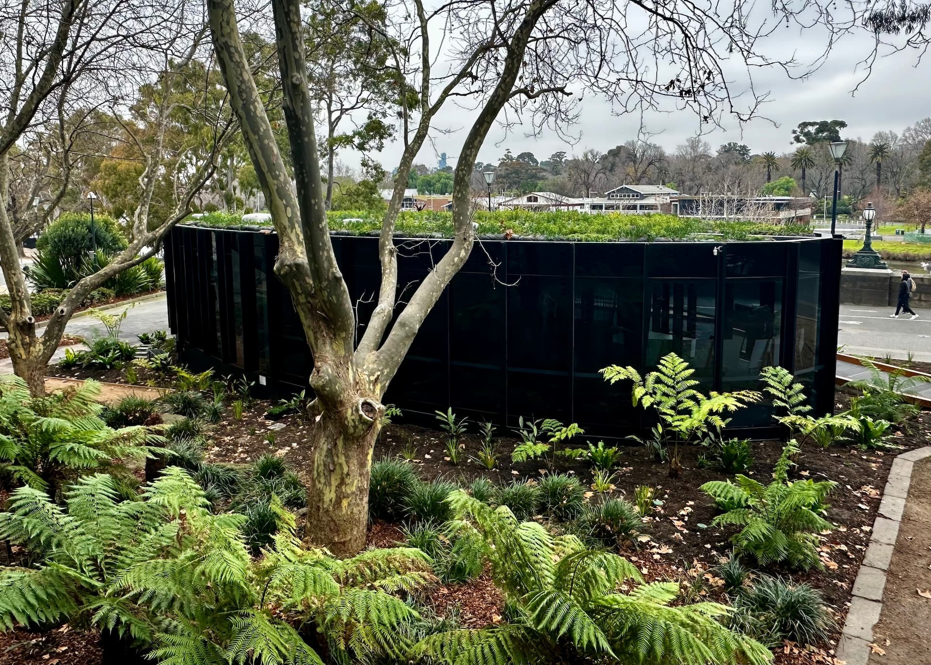 Green stormwater infrastructure featuring a low-profile black glass pavilion with a vegetated living roof surrounded by ferns and deciduous trees in an urban park setting
