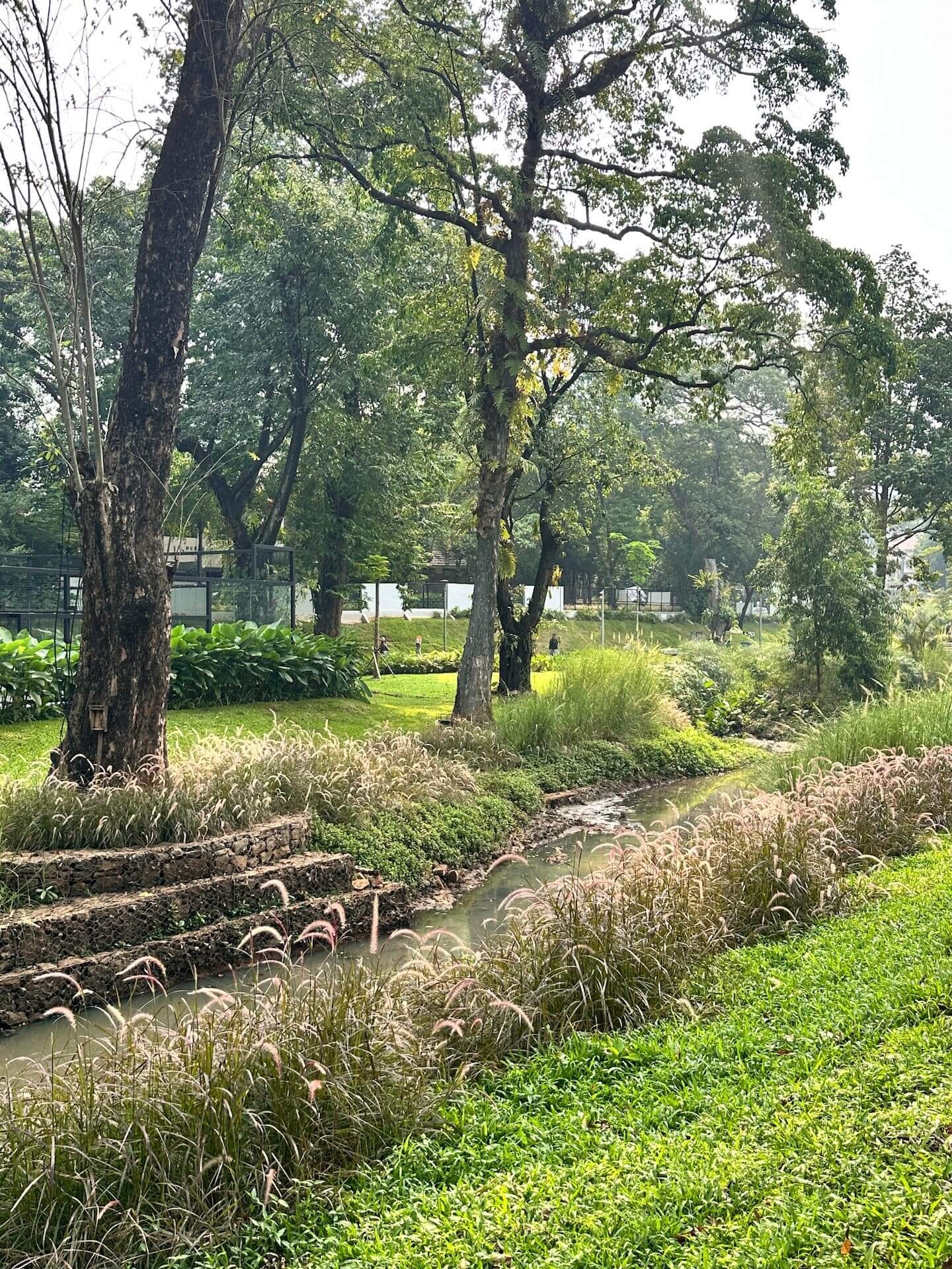 Daylighting of an old concrete canal into a naturalised stream with gabion walls and grasses.