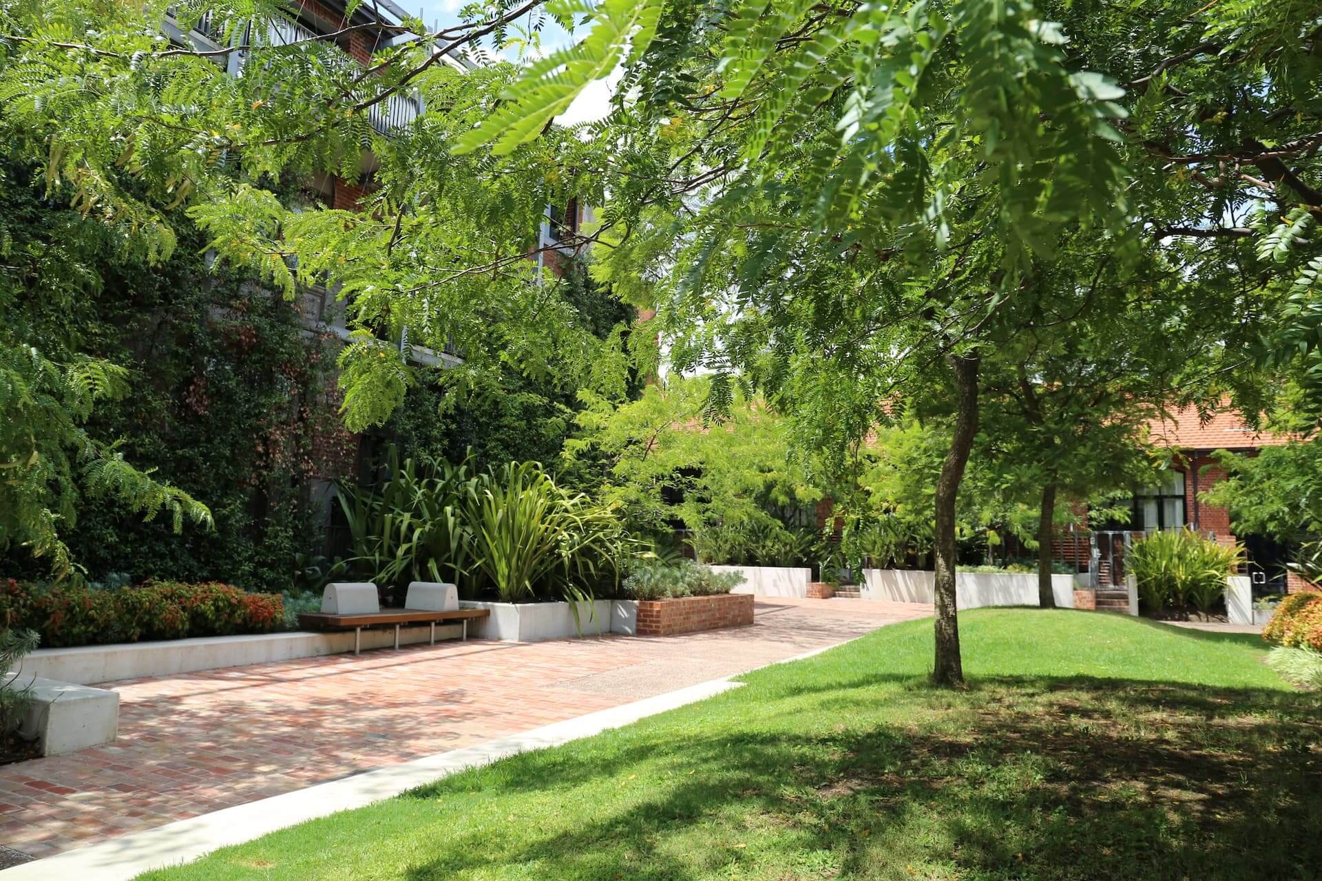 Urban forest canopy shading a residential courtyard, with a brick-paved path, planter beds and a sloping lawn.