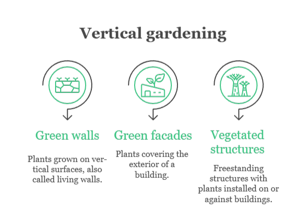 An infographic that illustrates vertical gardening examples
