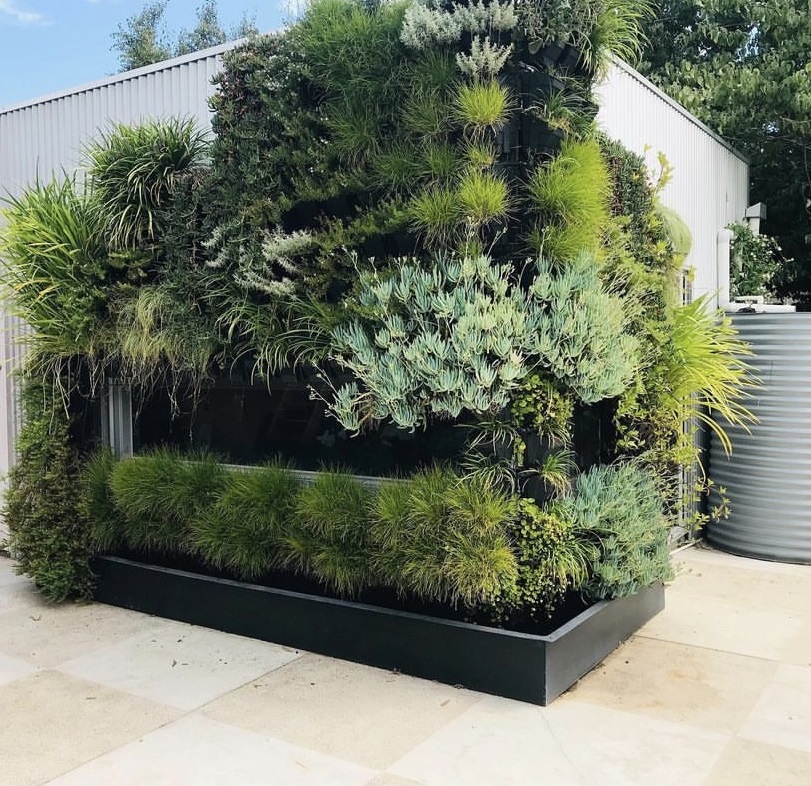 Lush freestanding vertical garden with grasses, succulents, and silvery foliage in a black base, beside a white metal building.