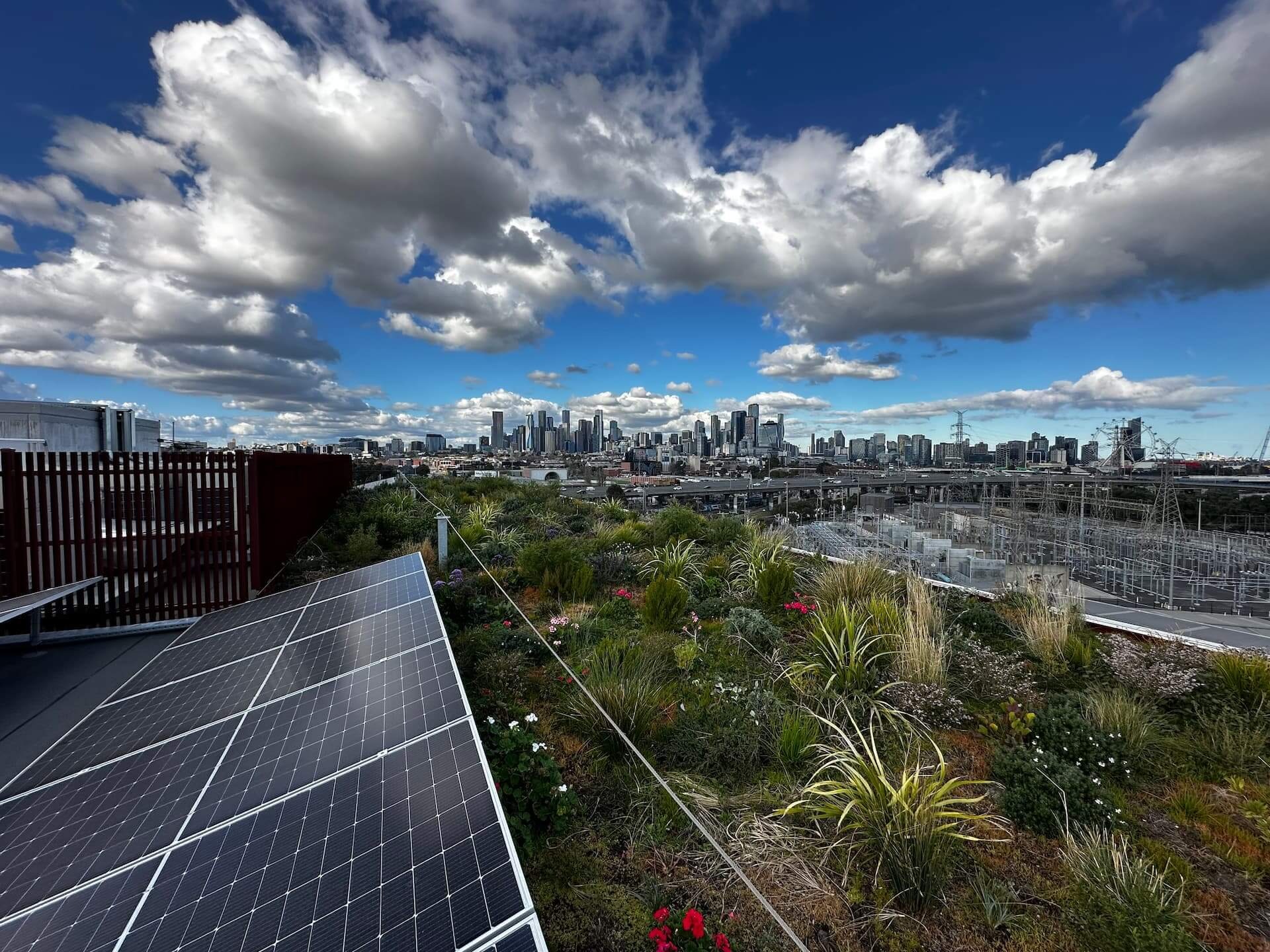 A picture of the Bruce St Biodiversity Green Roof by Evergreen Infrastructure