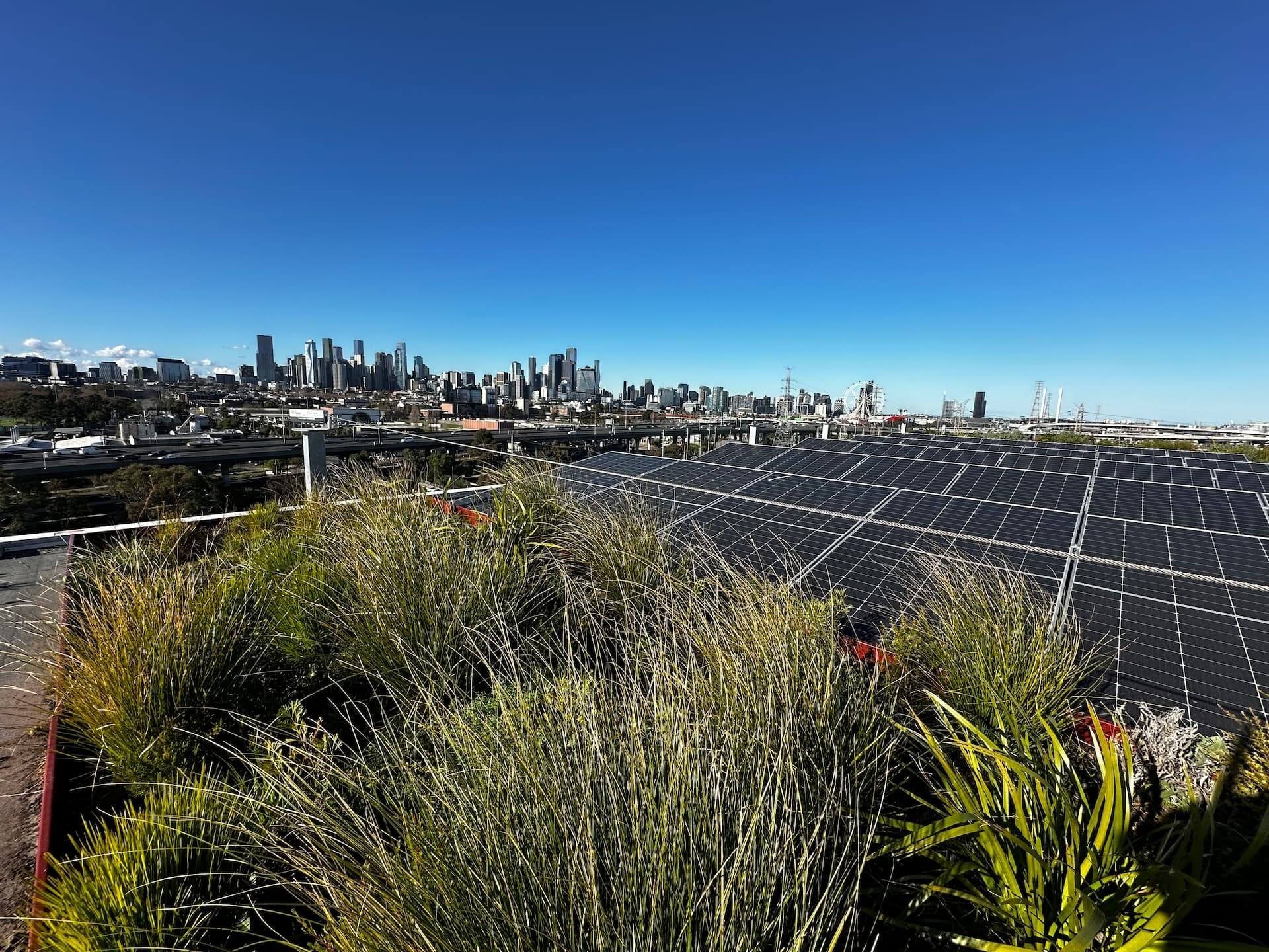 A picture of the Bruce St Biodiversity Green Roof by Evergreen Infrastructure