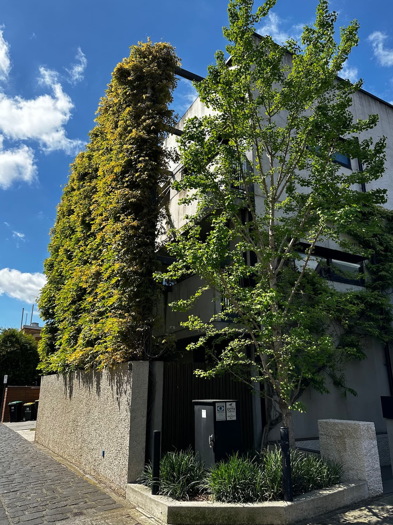 A modern building facade covered with cascading climbing ivy and green vines creating a lush vertical garden against concrete and black exterior panels.
