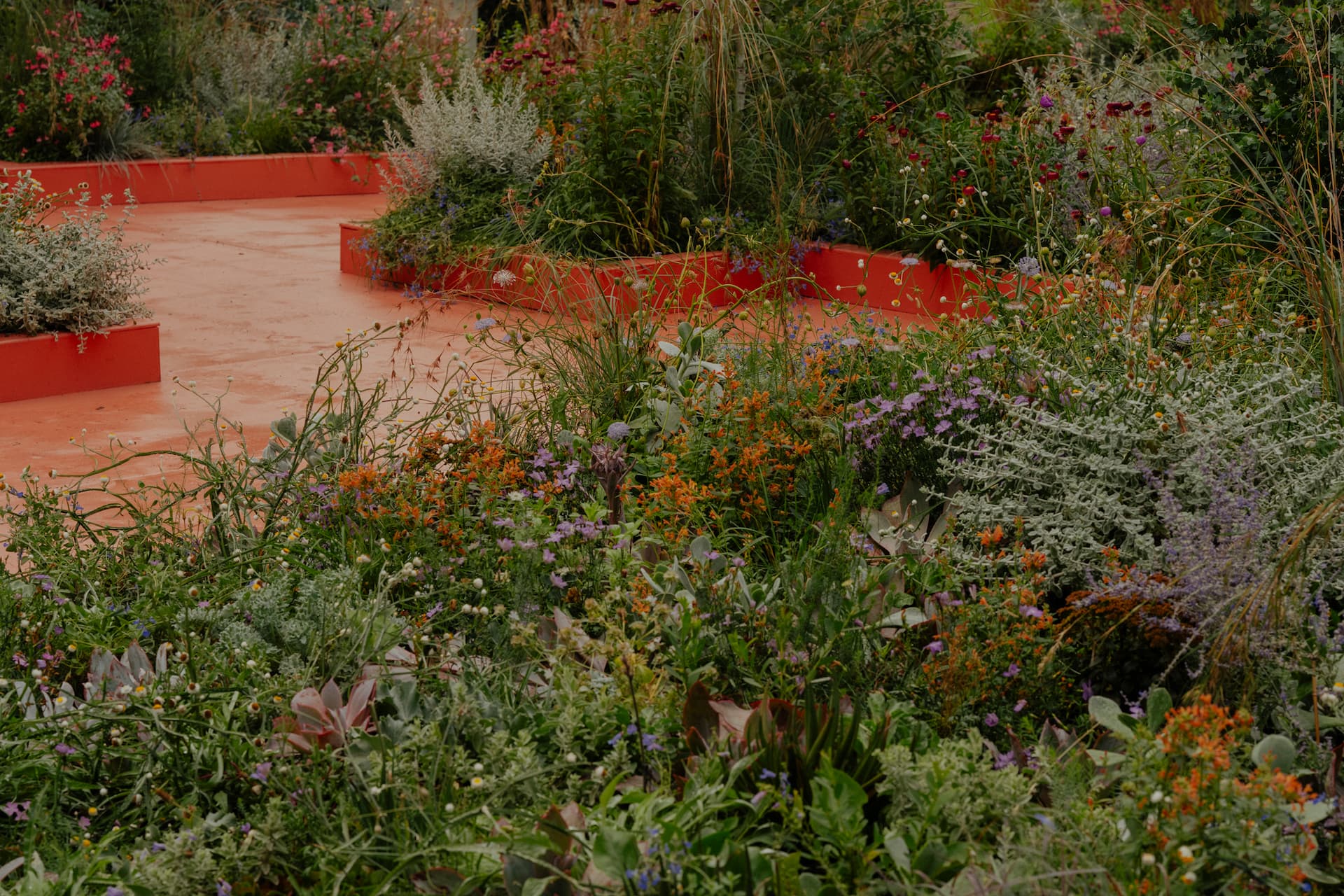Colourful native and dry-climate planting with red garden edging at the completed Plant Futures display, Melbourne 2026.