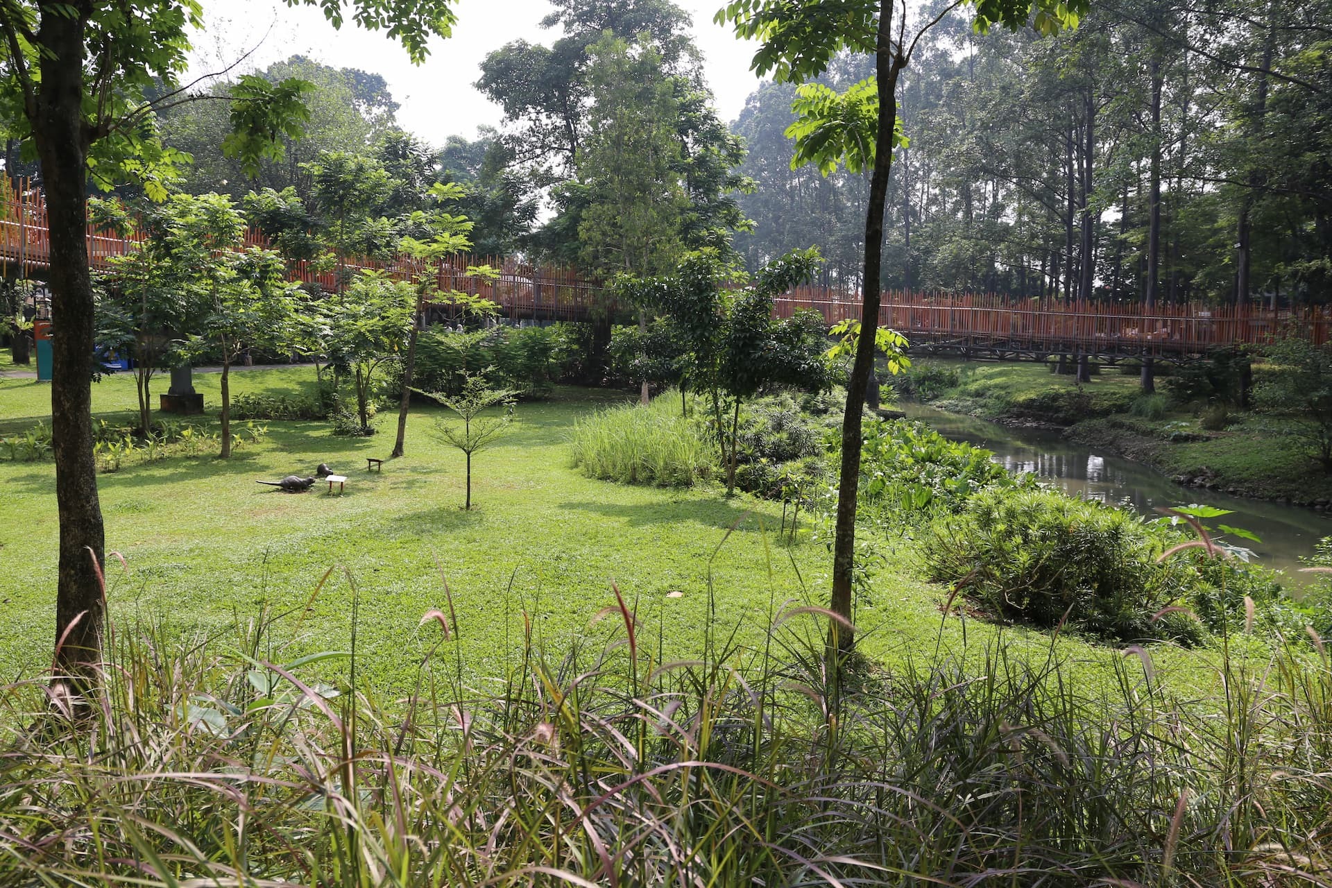 Naturalised waterway, lawn and dense planting at Tebet Eco Park, Jakarta, with the park's orange link bridge in the background.