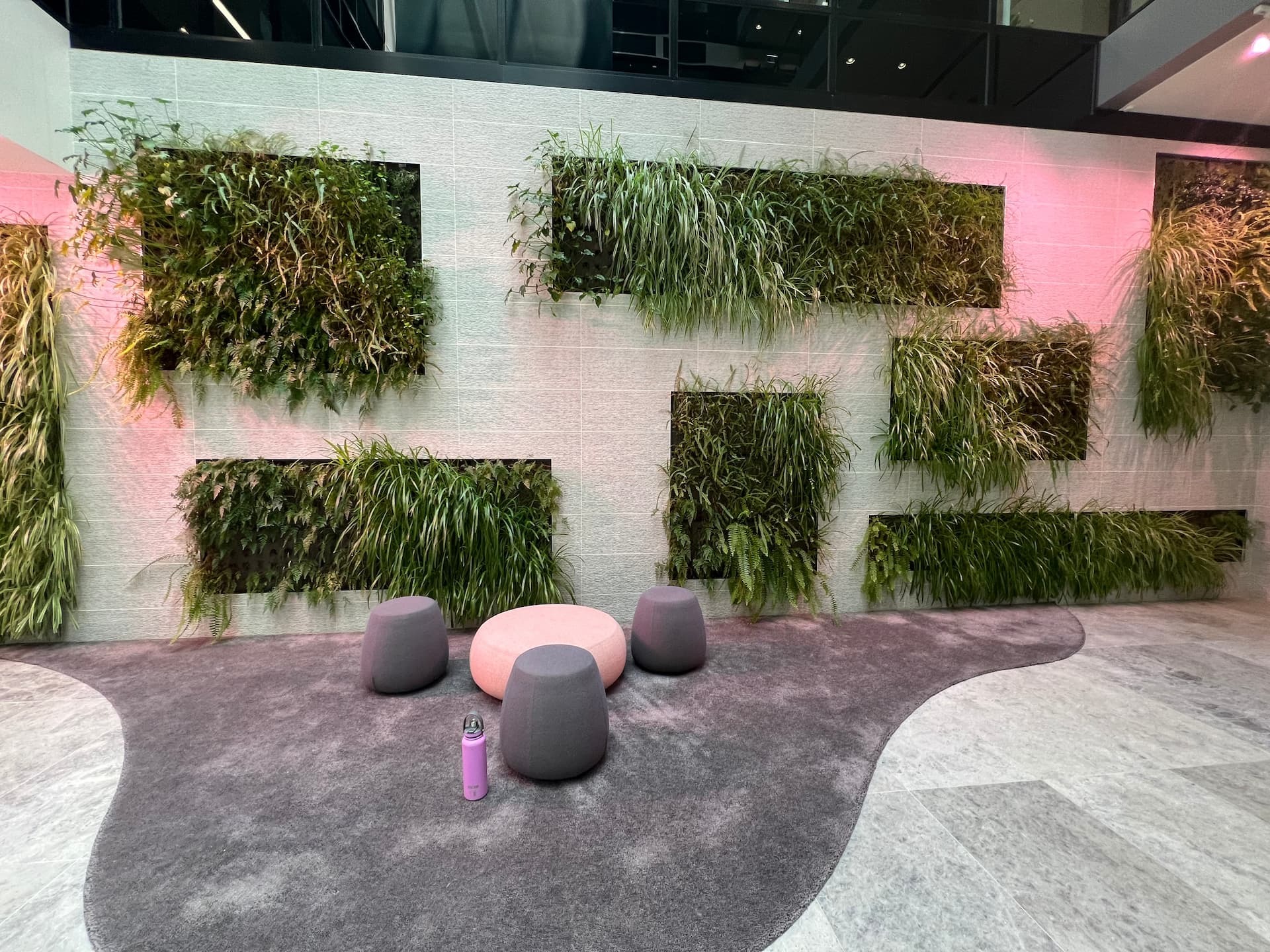 Double-height indoor living wall above a wellness centre reception, showing the benefits of living walls in healthcare foyers
