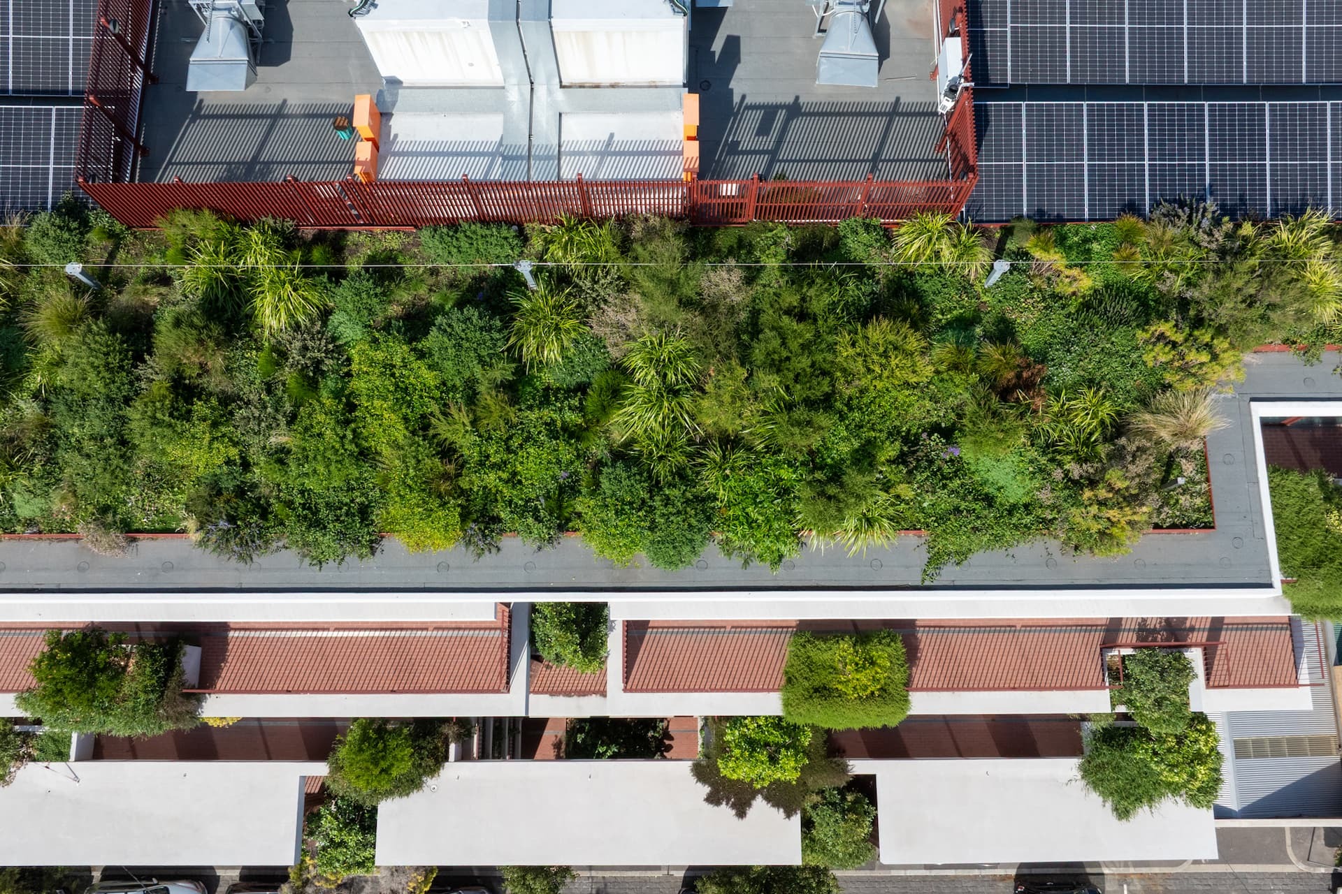 Green roof and façade planting working in unison at the Bruce St apartments: densely planted rooftop beside solar panels, with balcony trees on the levels below.