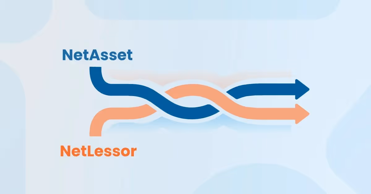 Graphic representation showing colored intertwined arrows labeled "NetAsset" and "NetLessor," illustrating a connection between the two entities.