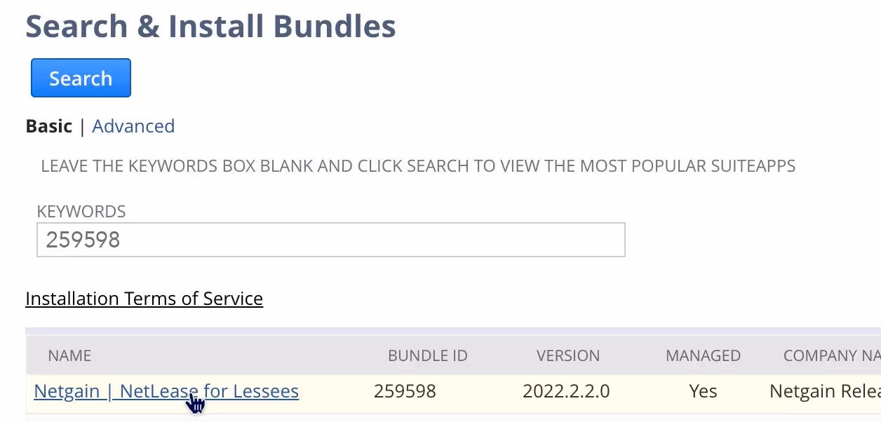 Screenshot showing NetSuite's Search & Install Bundles page