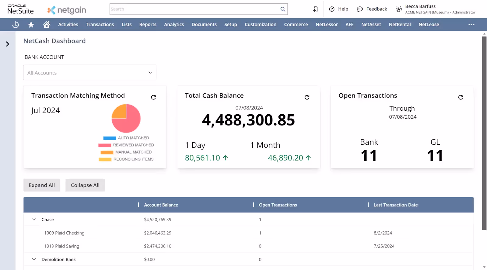 screenshot of NetCash dashboard
