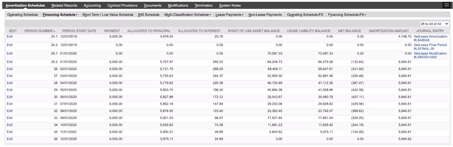 NetLease amortization schedule