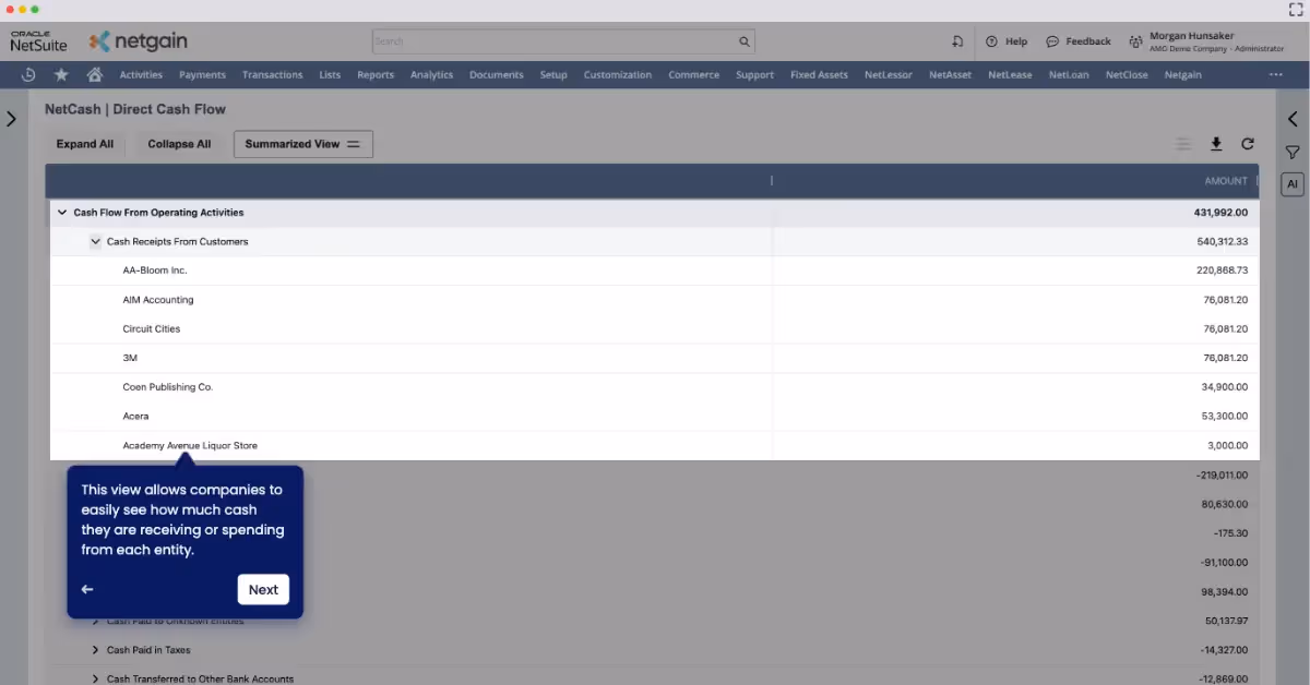 NetCash direct cash flow statement