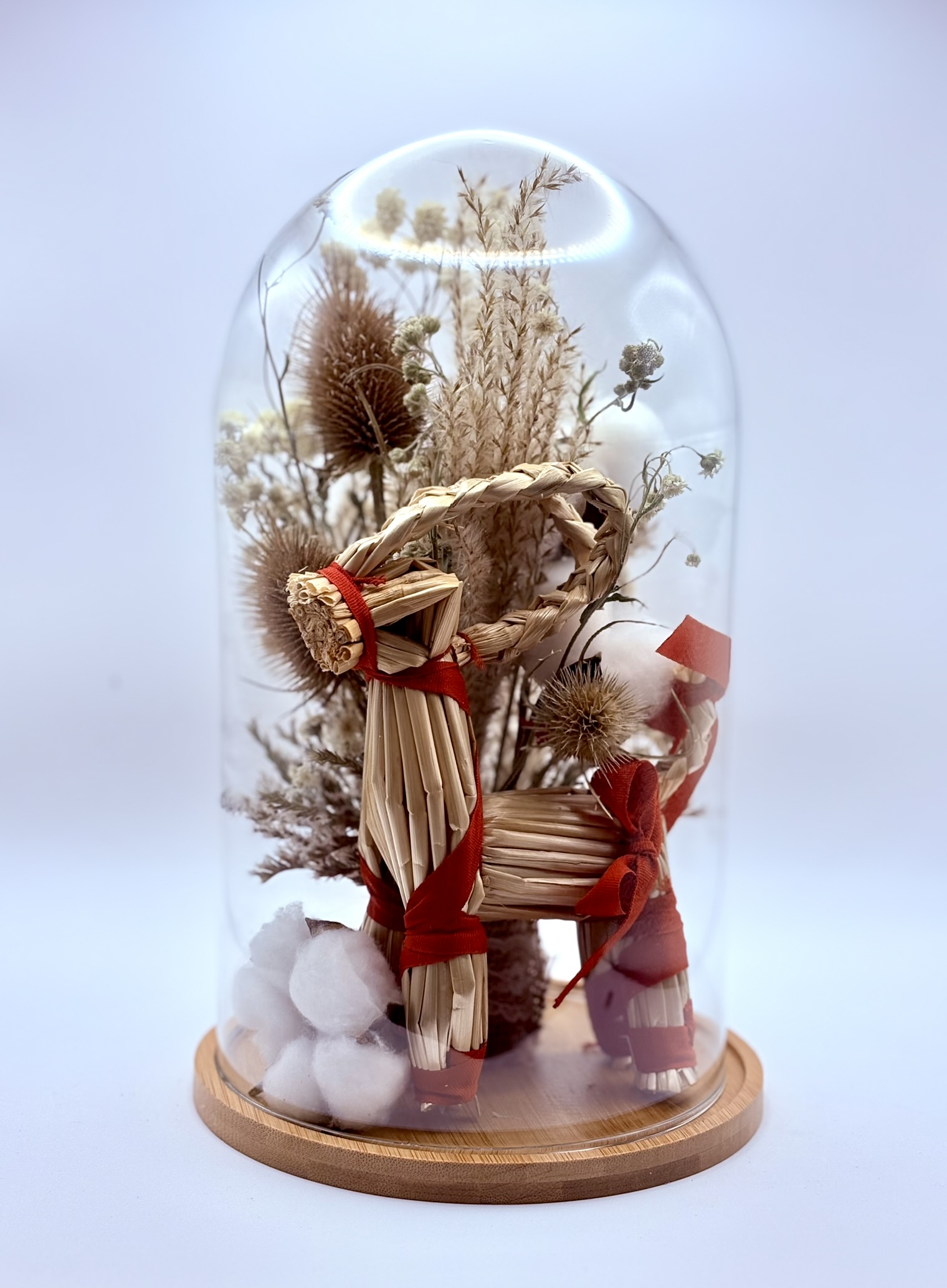 Szklany klosz koziołek