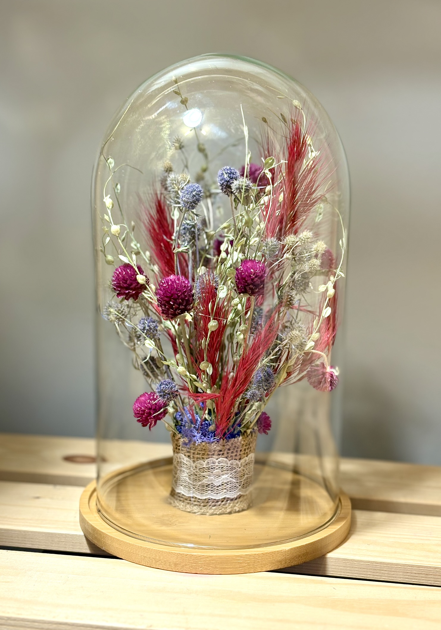 Szklany klosz gomfrena mikołajek