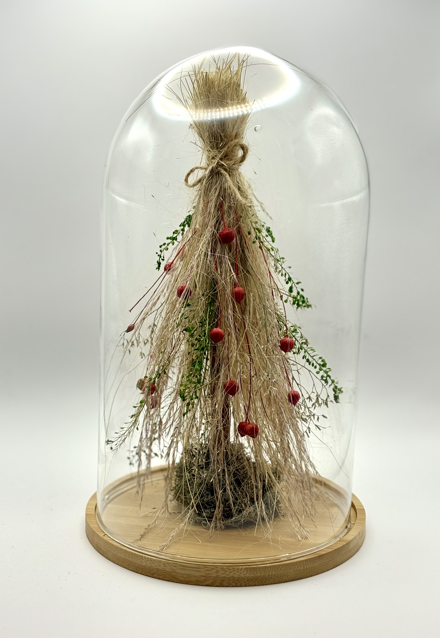 Szklany klosz choinka ostnica