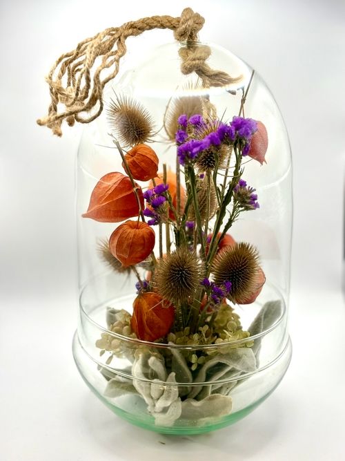 Szklana kapsuła miechunka