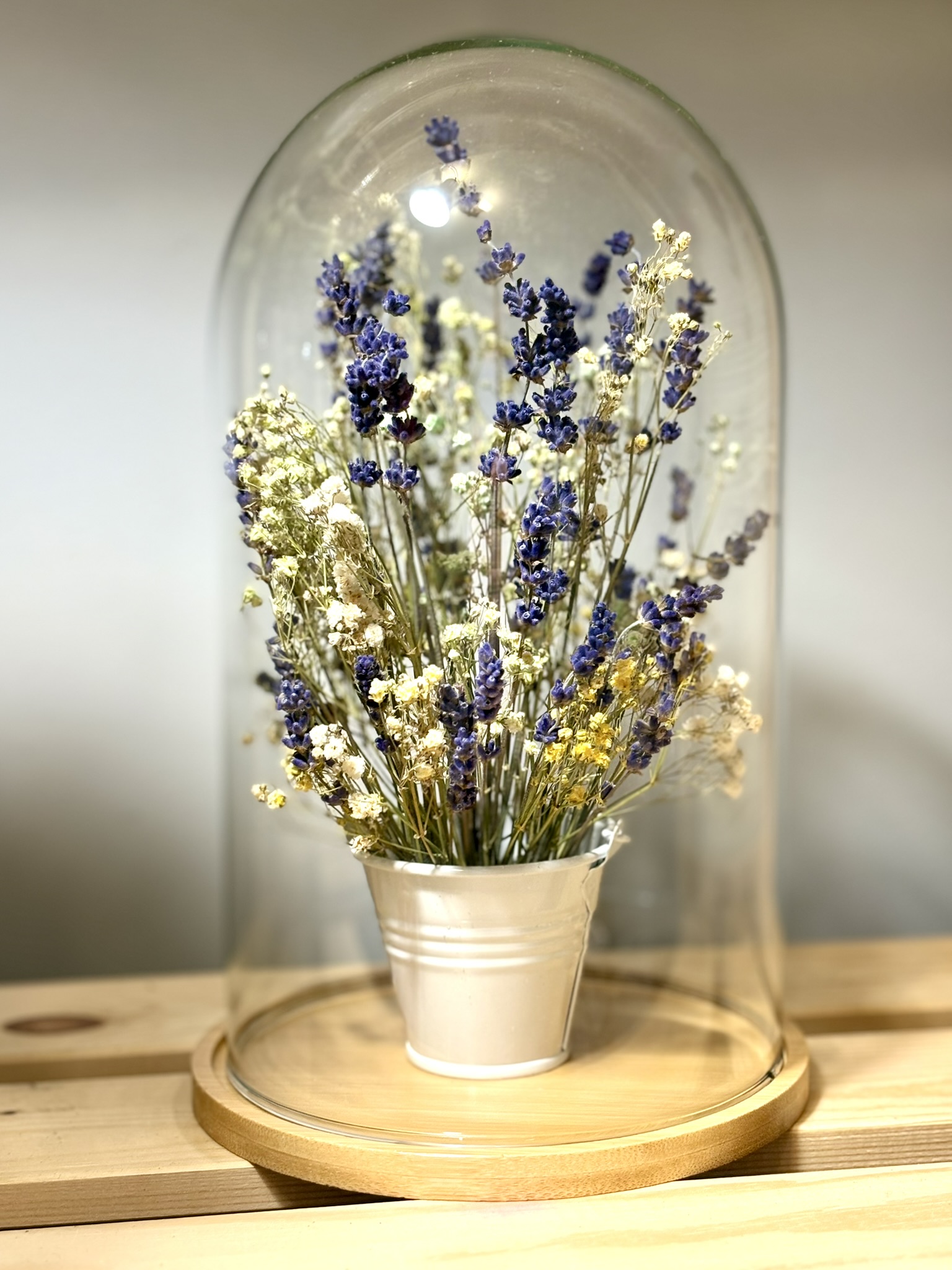 Szklany klosz lawenda