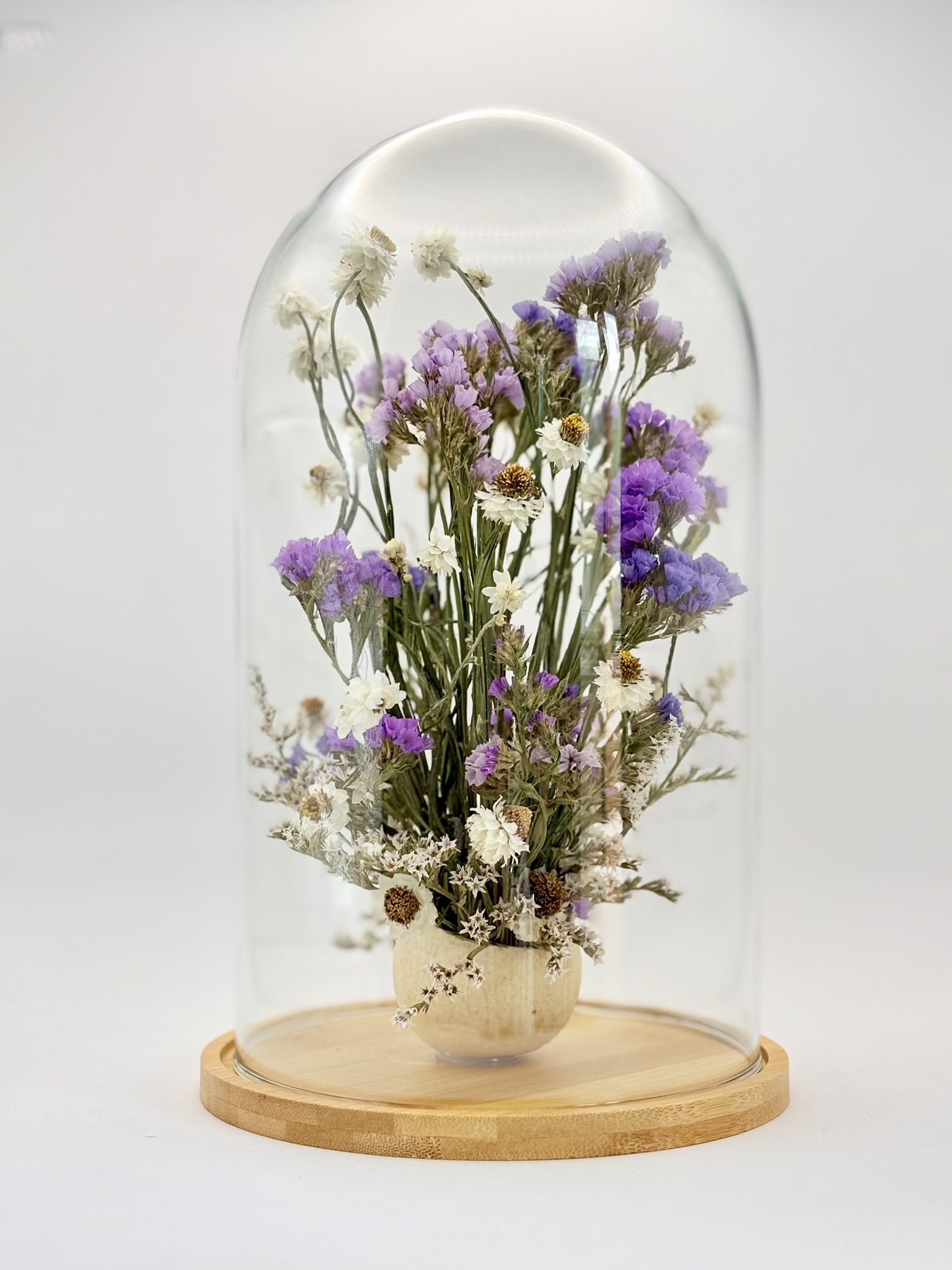 Szklany klosz bell cup limonium, złociszek