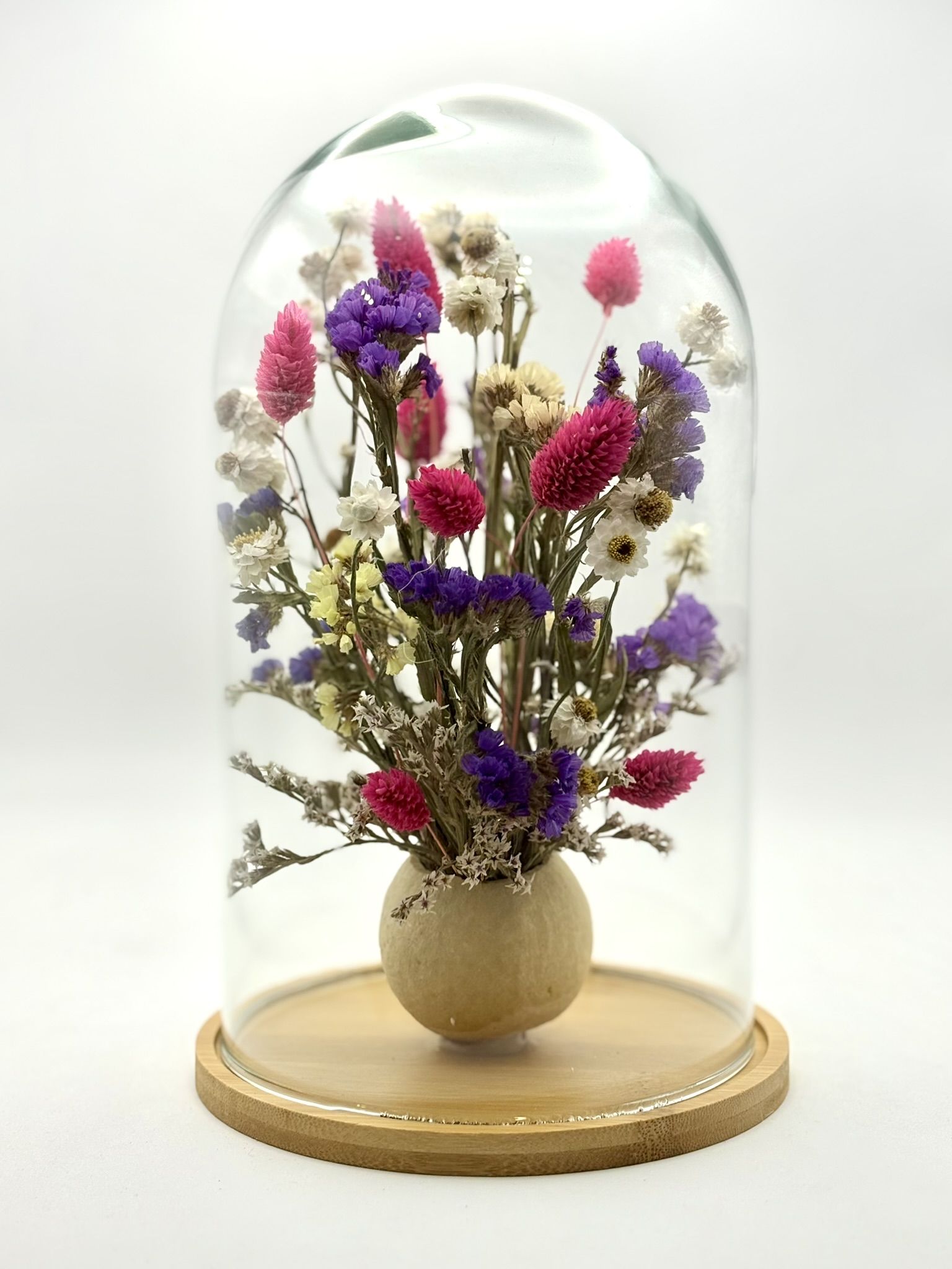 Szklany klosz bell cup limonium, różowy kanar