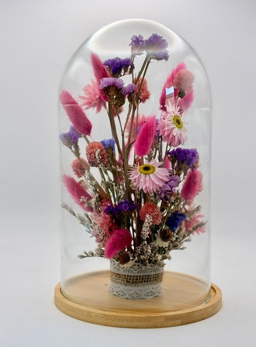Szklany klosz suchlin, limonium