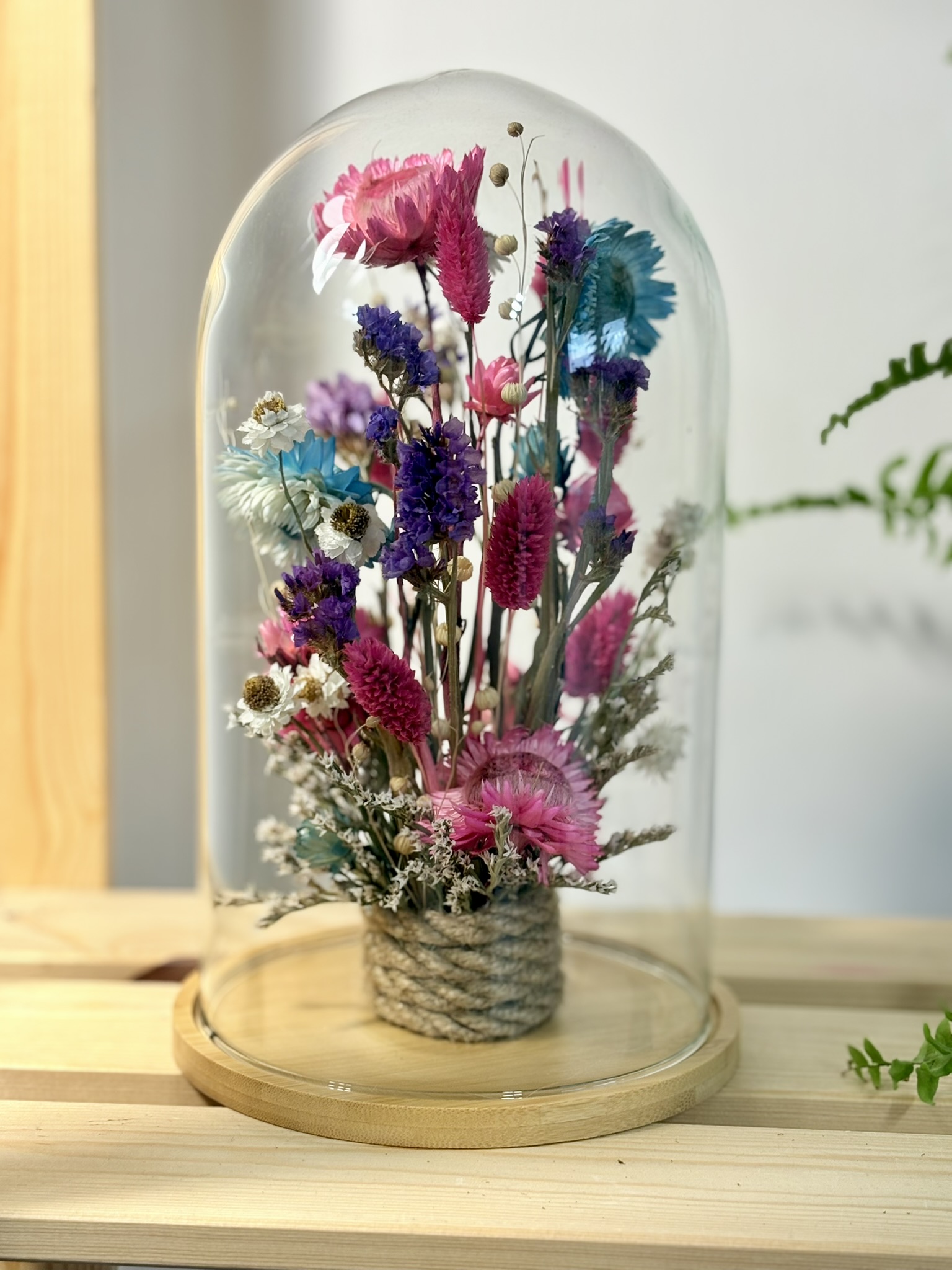 Szklany klosz kocanki, limonium