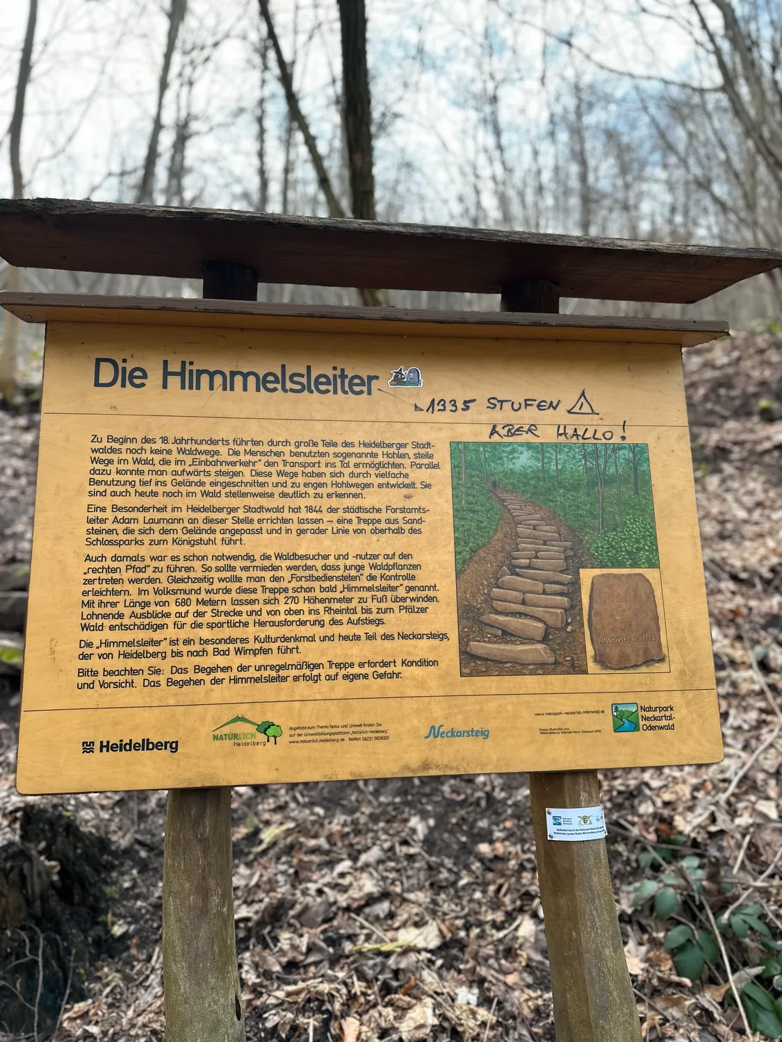 Himmelsleiter MyStay Scherer GmbH