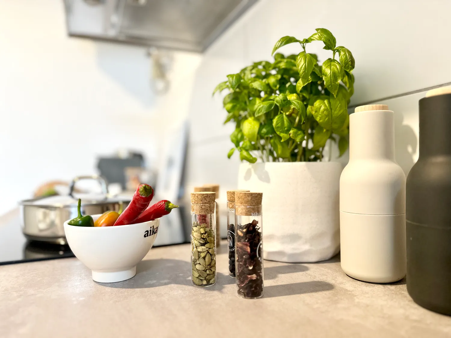 Zentrale Ferienwohnungen Heidelberg