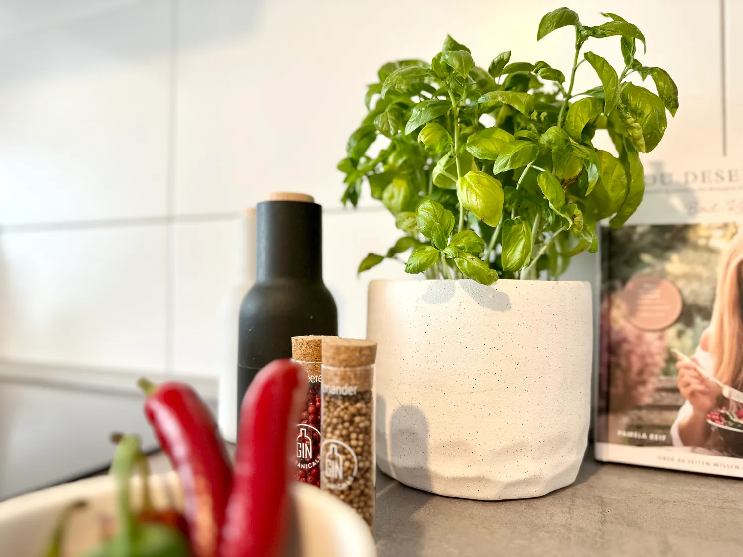 Unterkünfte im Herzen von Heidelberg