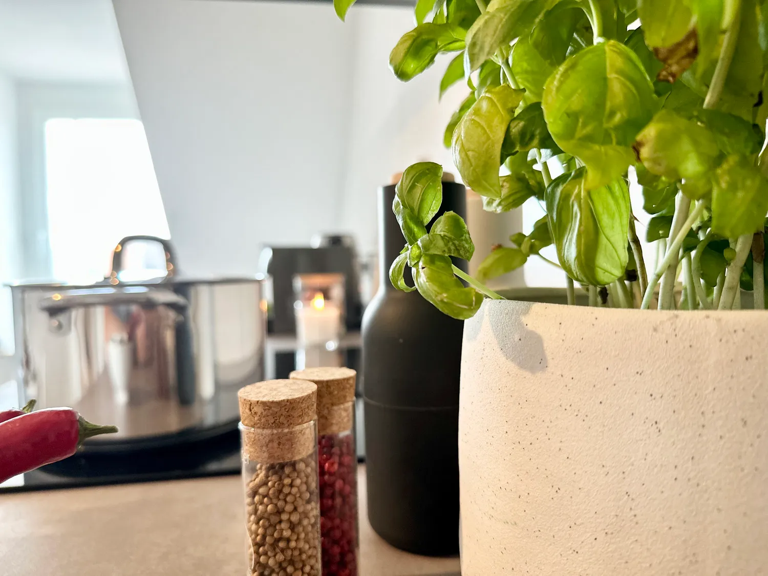 Wohnung MyStay Scherer GmbH