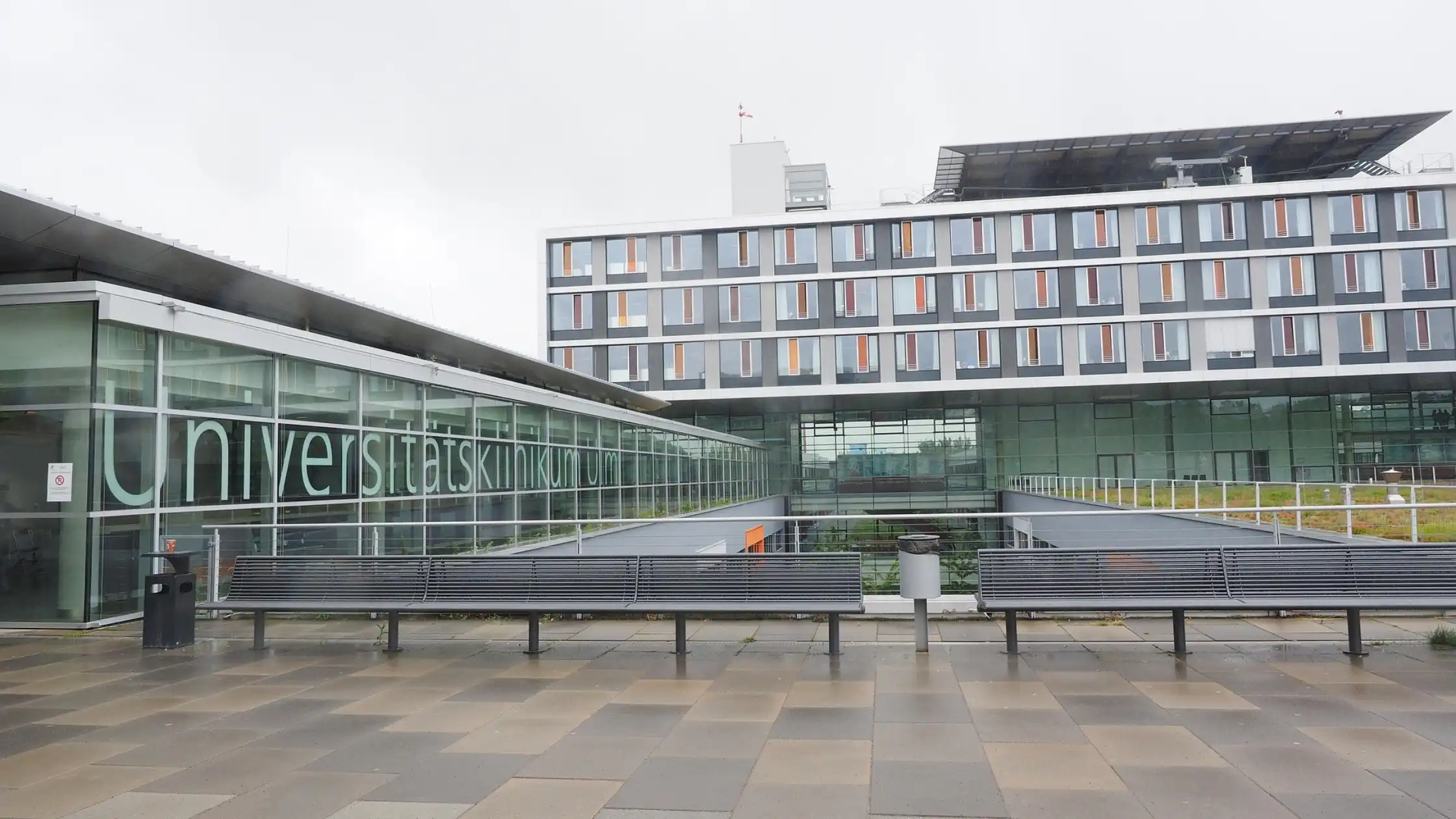 Hochschule vs Universität: Understanding Germany's Two Higher Education Paths