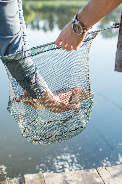 Fly Fishing and Elastic Cord for Backup