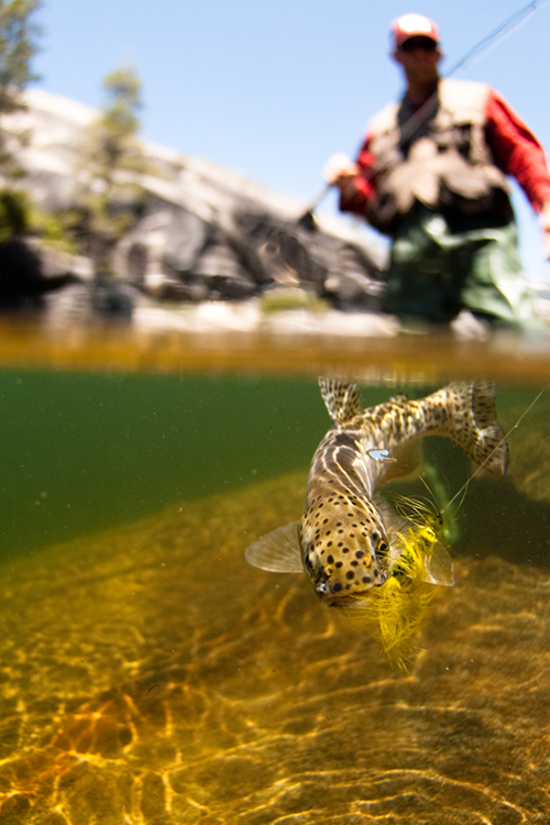 How to Fly Fish in Fast-moving Water