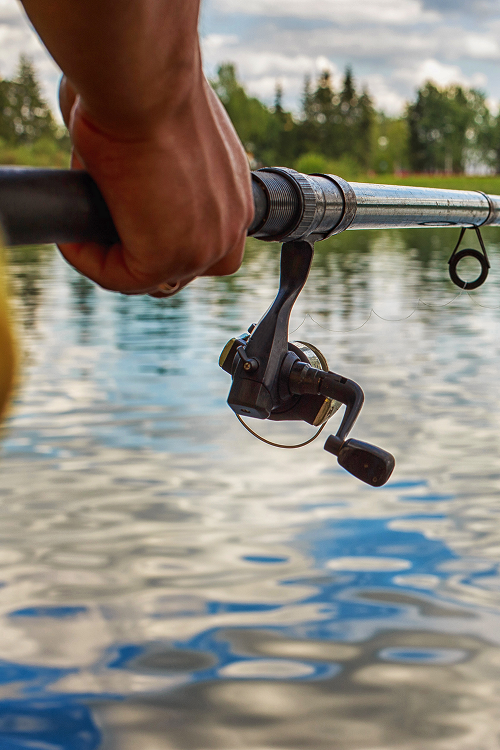Fly Fishing Beginners Guide by Frontier Anglers TN
